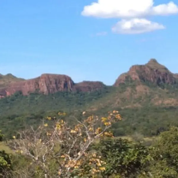 Caiado é eleito representante do bioma Cerrado no consórcio Brasil Verde