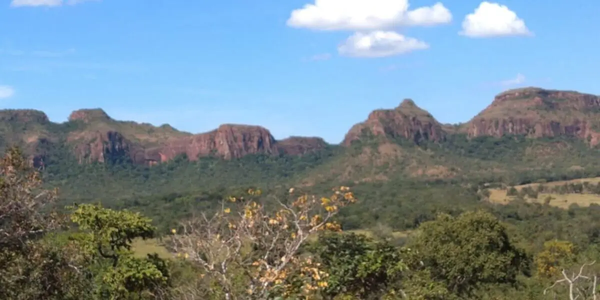 Caiado é eleito representante do bioma Cerrado no consórcio Brasil Verde