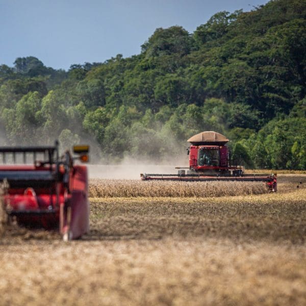 Agropecuaria Crédito - Wenderson Araujo - Sistema CNA