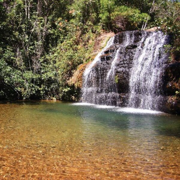 Semad promove atividades em oito unidades de conservação