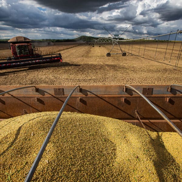 Agronegócio Goiás é o maior gerador de empregos no agronegócio do Centro-Oeste