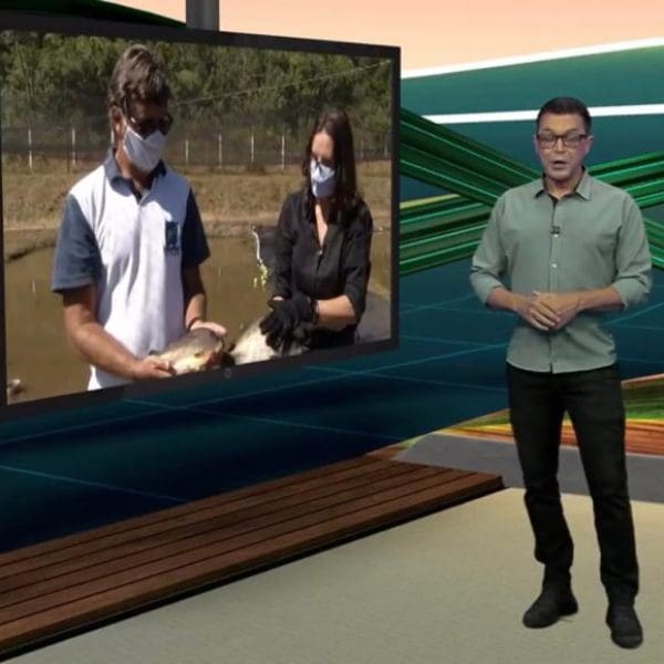 Emater- Jornal do Campo