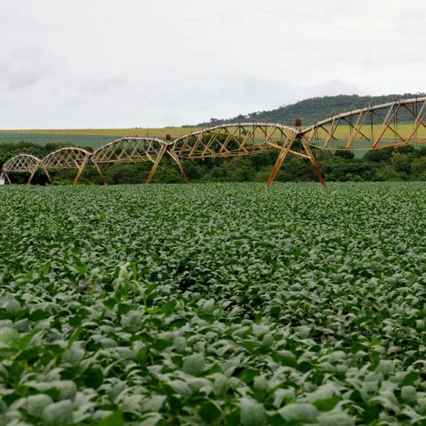 Irrigação