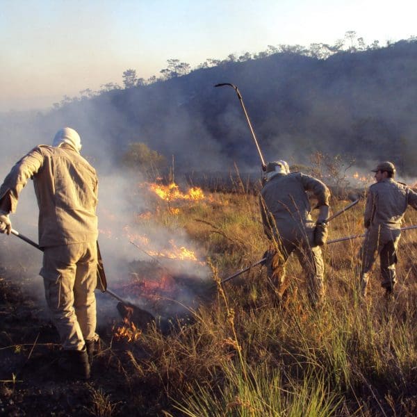 Bombeiros combate incêndio
