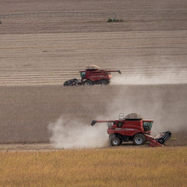 Soja_-_Crdito_Wenderson_Araujo_Sistema_CNA