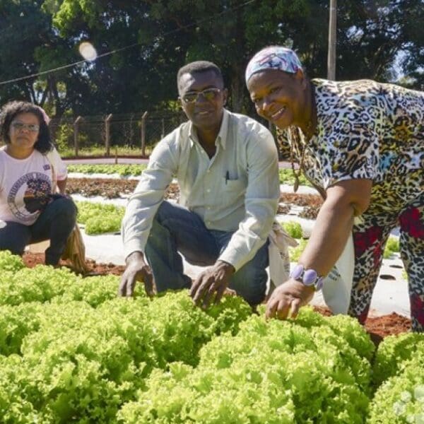 Mais de R$ 36 milhões são aprovados para produtores rurais goianos investirem em suas propriedades