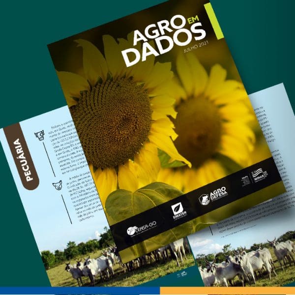 capa do boletim agro em dados