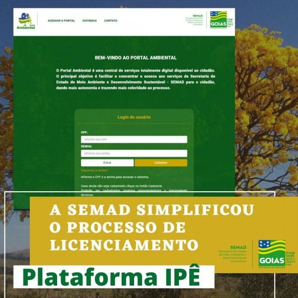 arte da plataforma ipê