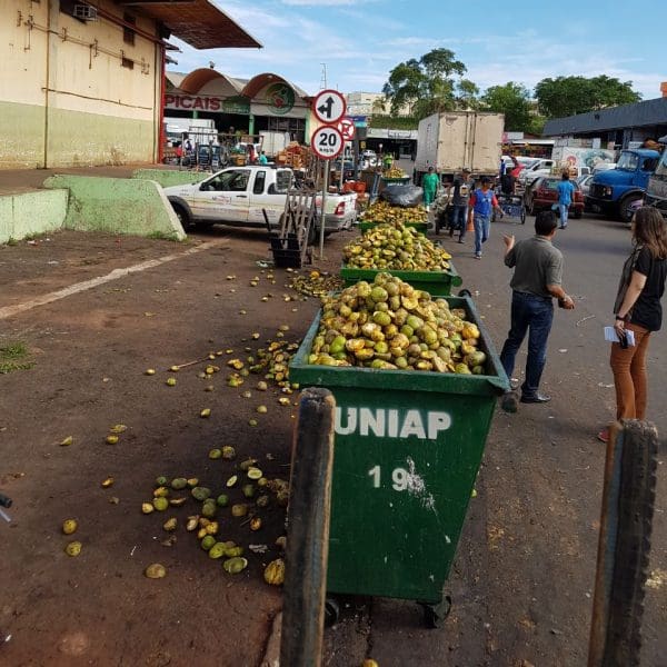Ceasa quer transformar lixo em soluções sustentáveis 1