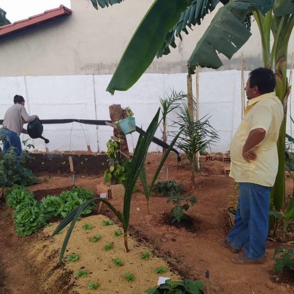 Emater-Programa Social