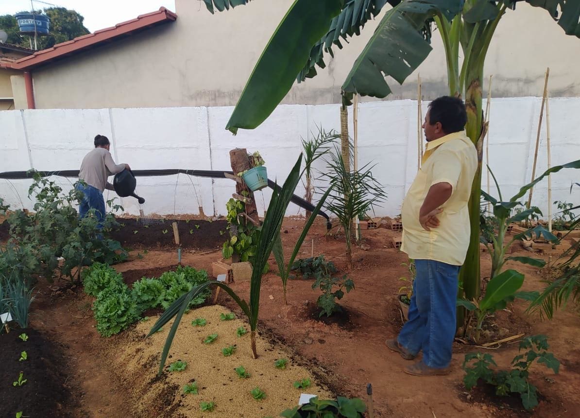 Emater-Programa Social