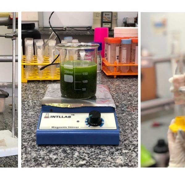 Etapas-para-obtencao-do-extrato-e-sintese-das-nanoparticulas-2