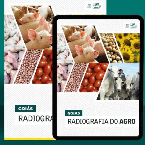 capa da publicação