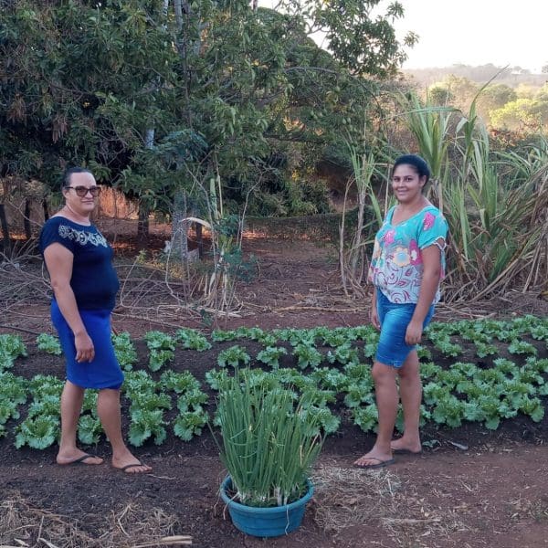 Agro é Social -Emater