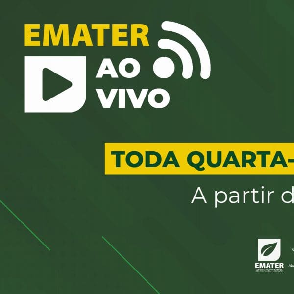 EMATER AO VIVO-SITE-01-01