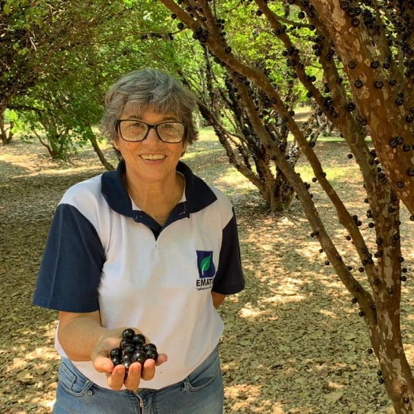 Hidrolândia- Jabuticaba