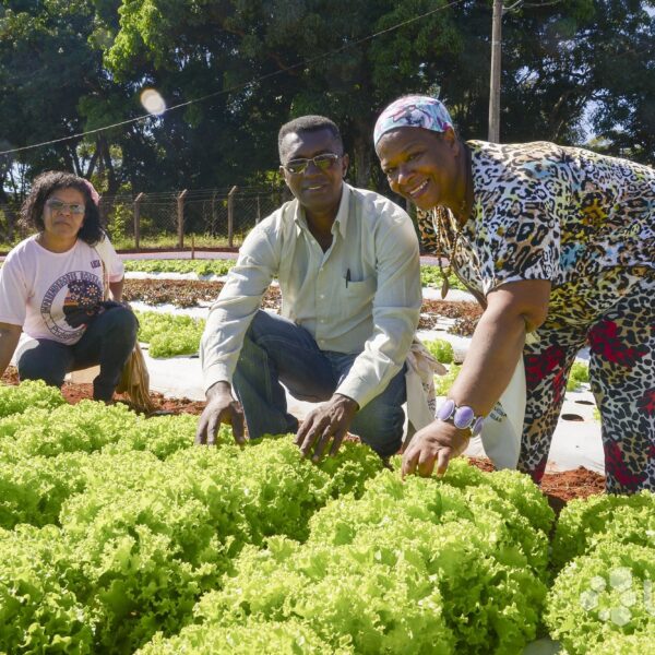 Governo realiza Semana Estadual do Cadastro Nacional da Agricultura Familiar