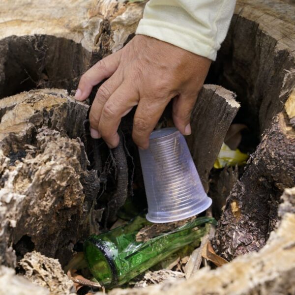 Saúde recomenda atualização de vacinas antes de temporada do Araguaia