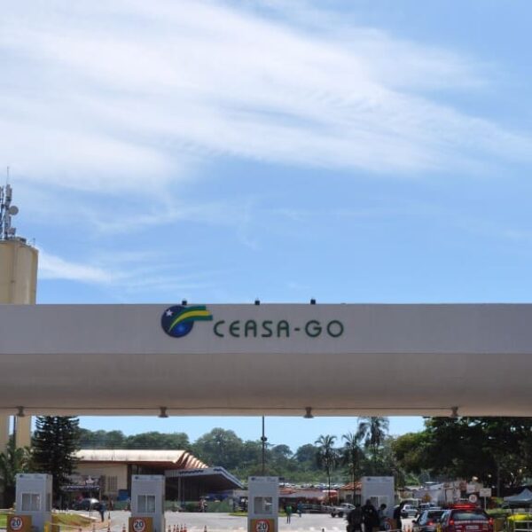 Ceasa contrata empresa para construção de posto policial no entreposto - Entrada da Ceasa-GO