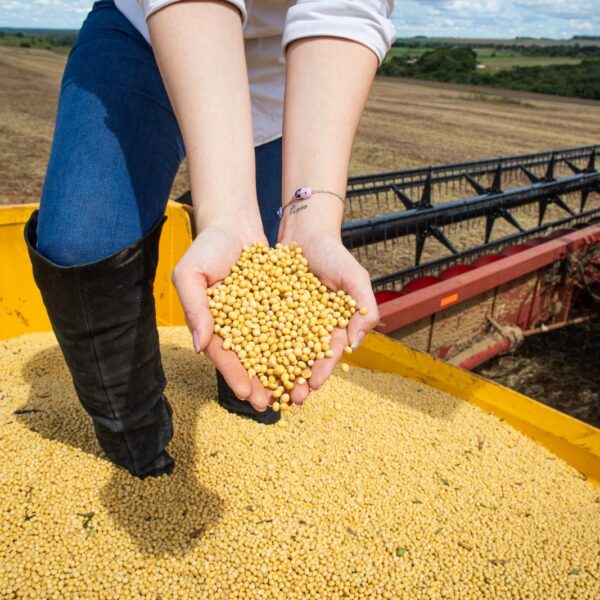 Goiás deve aumentar produção de grãos e chegar a 31,5 milhões de toneladas para a safra 2022/2023