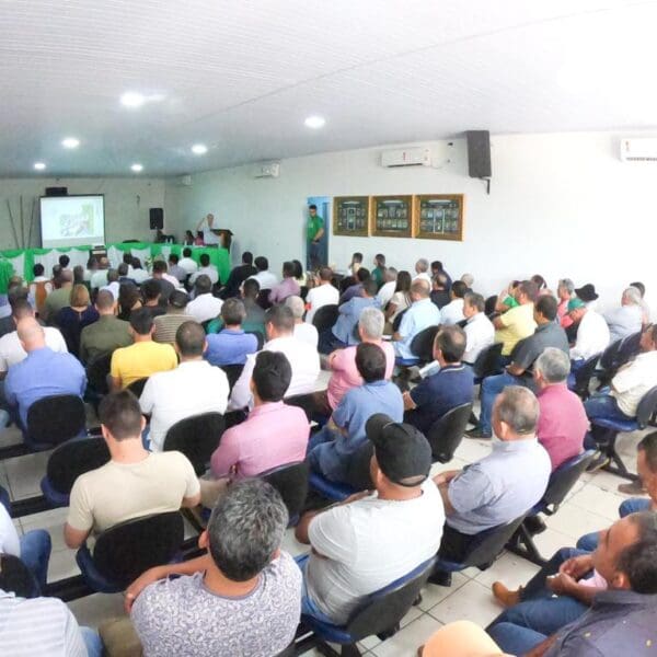 Em Campos Verdes de Goiás, SIC alinha ações para exploração de esmeraldas