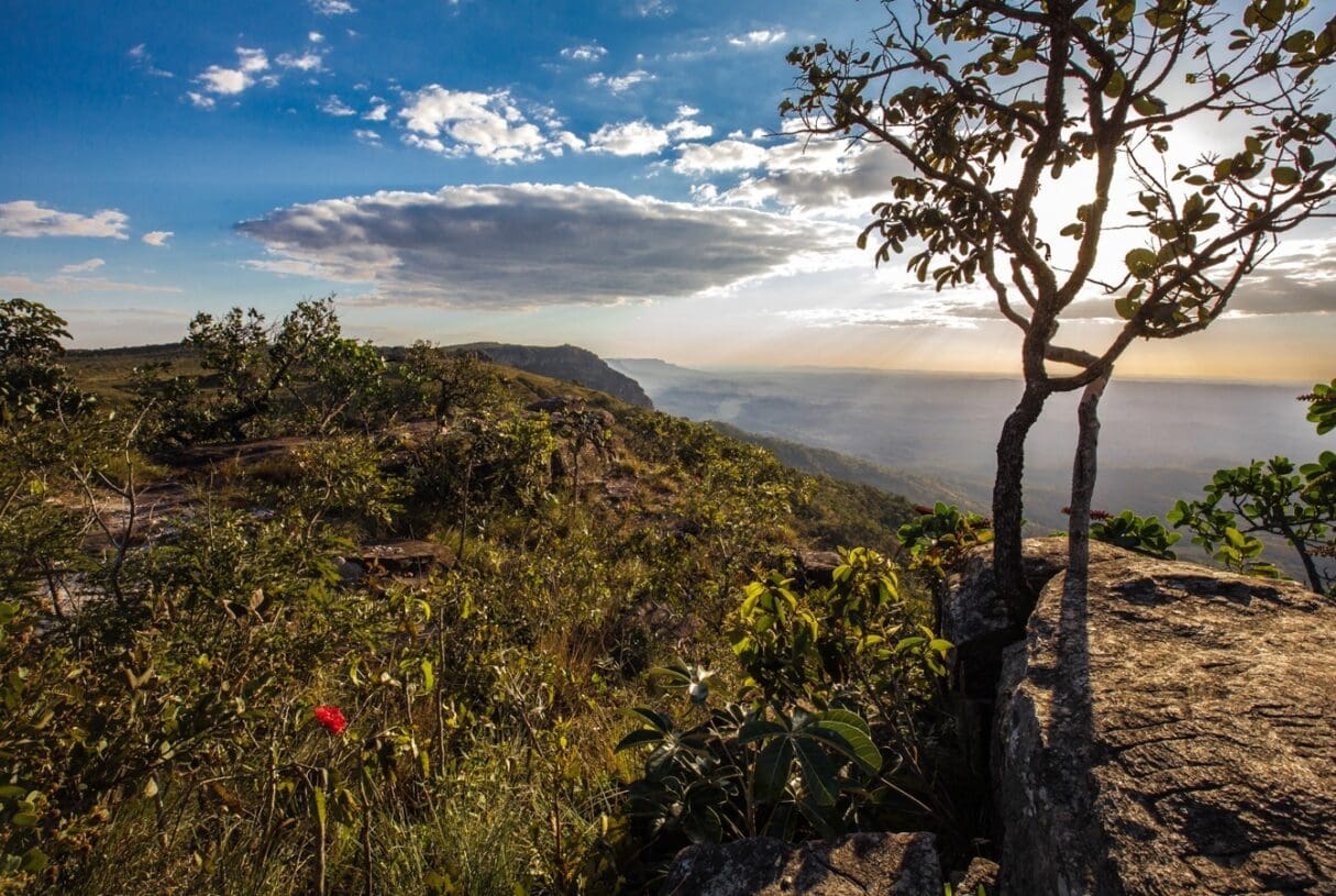 Parque Estadual da Serra Dourada - ICMS Ecológico