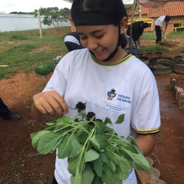 Na Regional de Formosa, projeto de hortas enriquece o cardápio da merenda e estimula o aprendizado