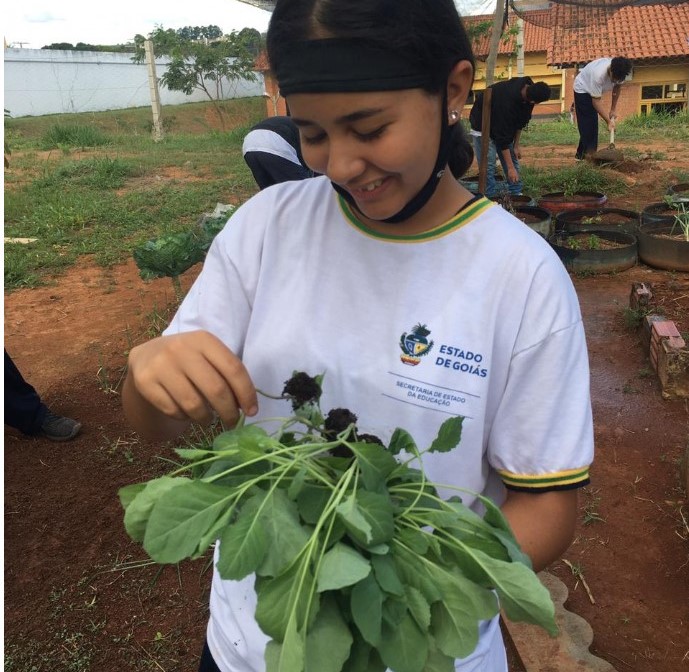 Na Regional de Formosa, projeto de hortas enriquece o cardápio da merenda e estimula o aprendizado