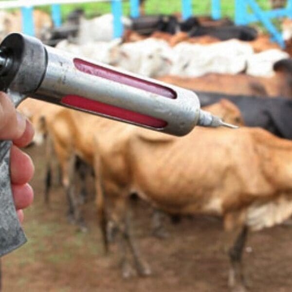 vacinação contra raiva dos herbívoros: Agrodefesa divulga lista de municípios com alto risco