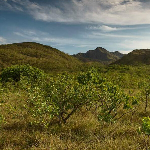Reserva Legado Verdes do Cerrado - conservação da biodiversidade