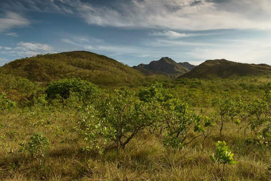 Reserva Legado Verdes do Cerrado - conservação da biodiversidade