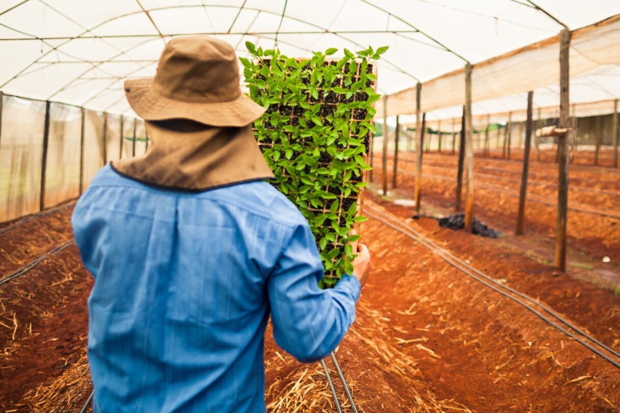 Goiás é líder no Centro-Oeste e segundo no Brasil na geração de empregos no agro