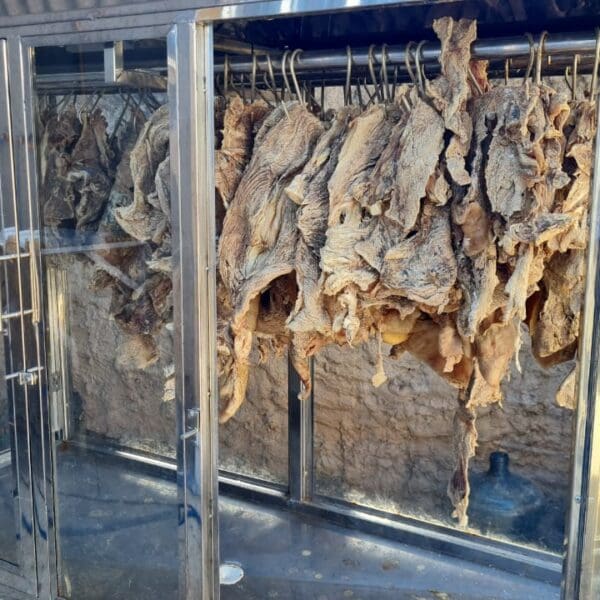 Carne fora da validade apreendida pelos Fiscais do Procon