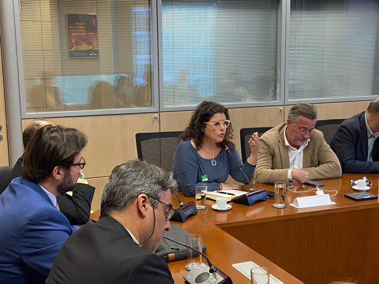 Secretária Andréa Vulcanis discute plano de desmatamento zero em reunião