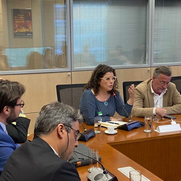 Secretária Andréa Vulcanis discute plano de desmatamento zero em reunião