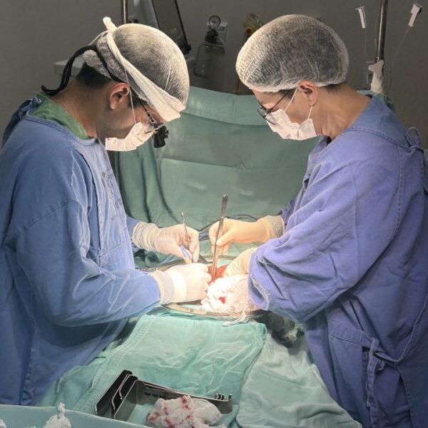 HGG tem autorização para transplantes de rins renovada pelo Ministério da Saúde