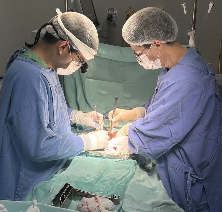 HGG tem autorização para transplantes de rins renovada pelo Ministério da Saúde