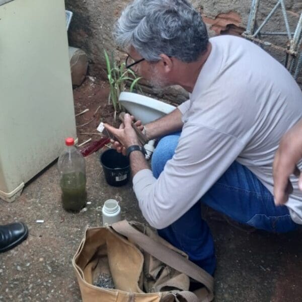 SES capacita municípios para uso de armadilhas contra Aedes que combate endemias