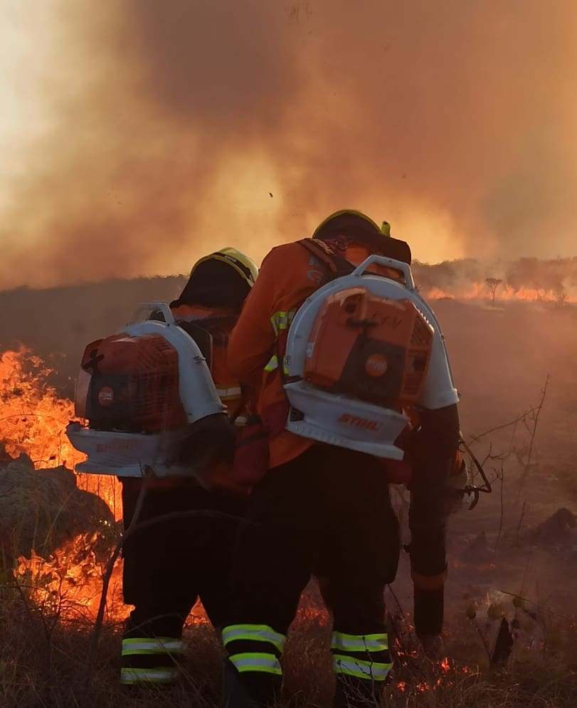 Operação Cerrado Vivo completa 45 dias em Cavalcante e Alto Paraíso de Goiás