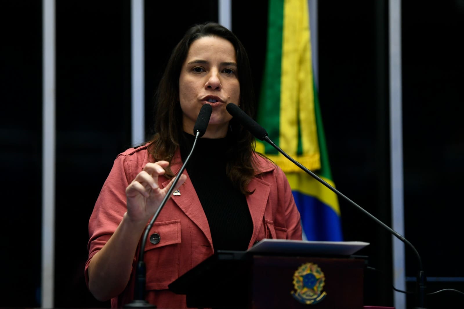 Governadores reforçam críticas de Caiado à Reforma Tributária no Senado- Raquel Lyra, governadora de Pernambuco