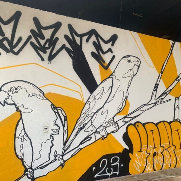 Vila Cultural Cora Coralina ganha novo mural de grafite