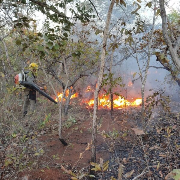 Bombeiros no combate a incêndios florestais