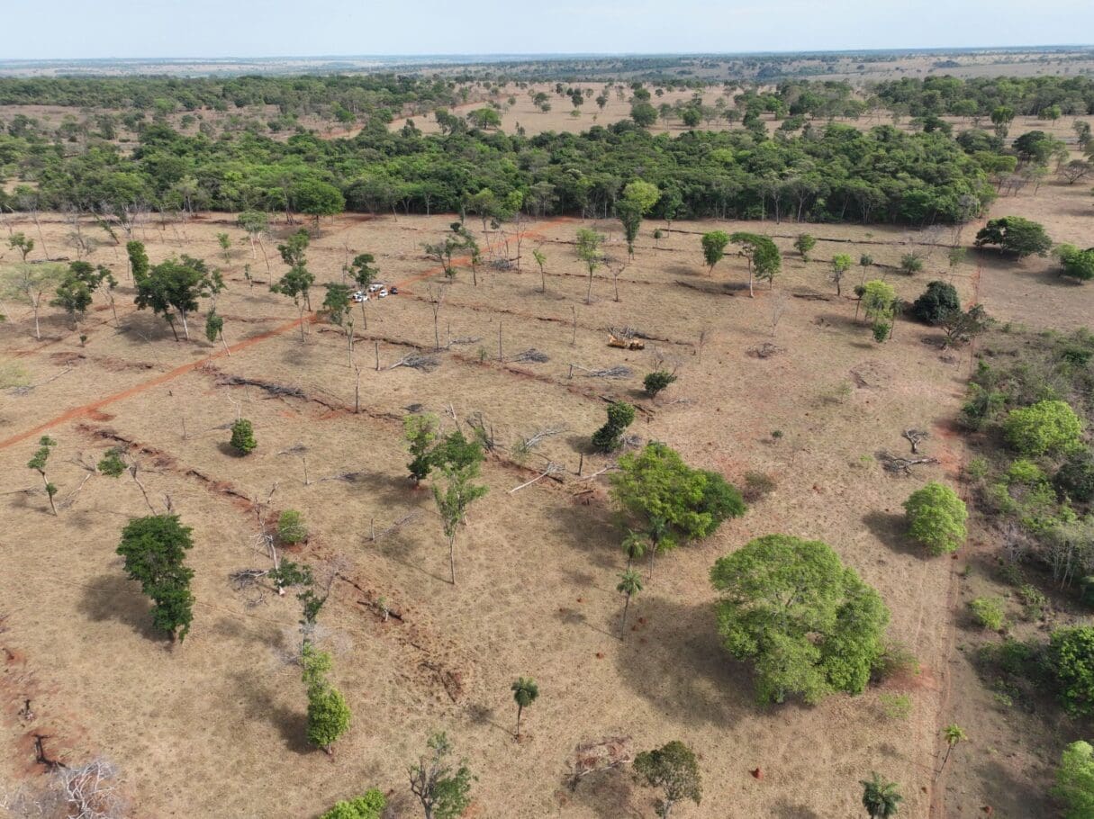 Operação Mata Atlântica em Pé flagra 100 hectares de desmatamento ilegal