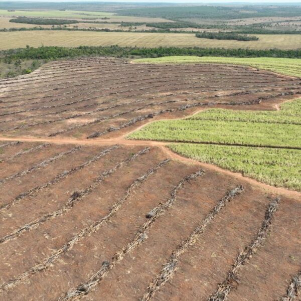 área de desmatamento em Mineiros
