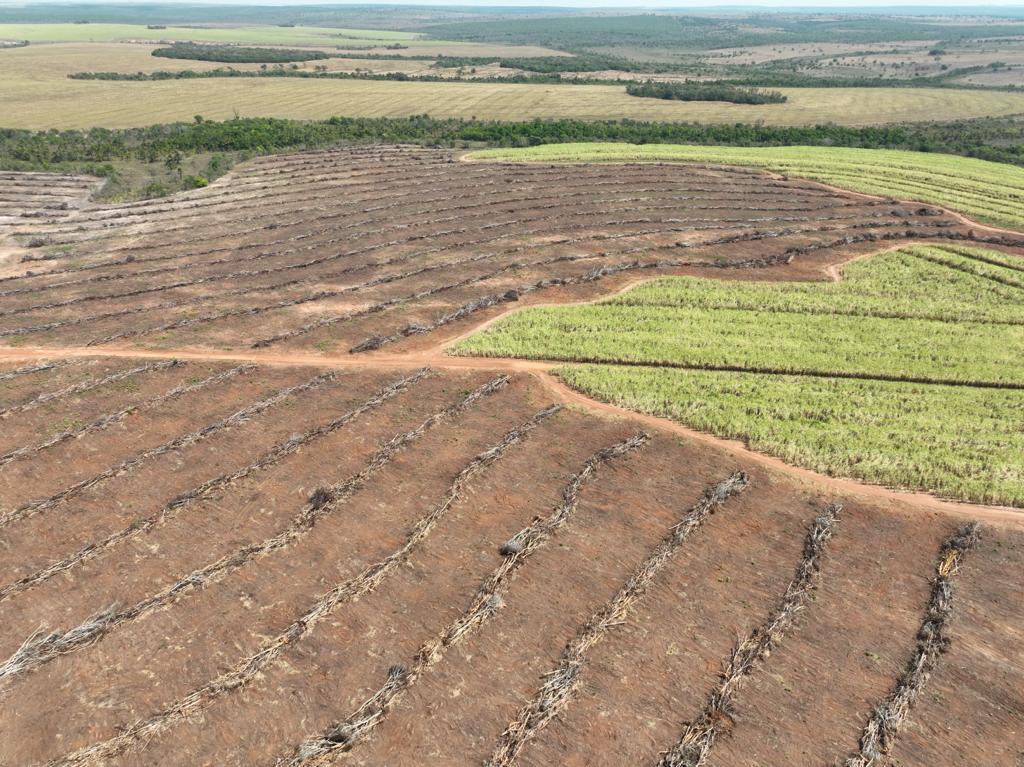 área de desmatamento em Mineiros