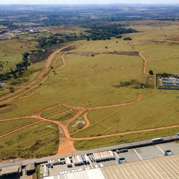 Governo abre consulta pública para definir critérios para indústrias no DaiaPlam e no Dianot