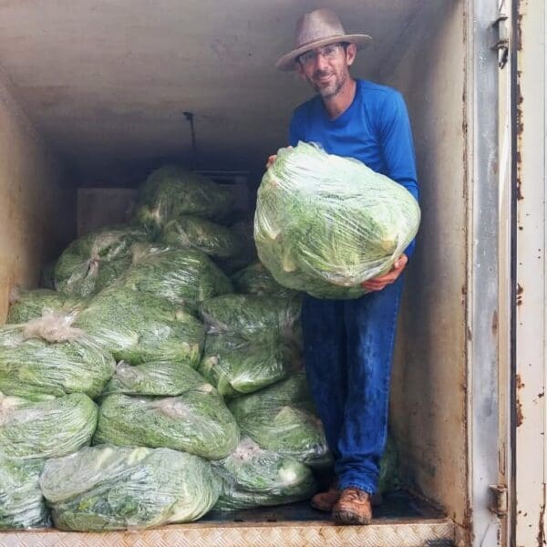 Agricultores familiares iniciam entregas de alimentos do PAA Goiás