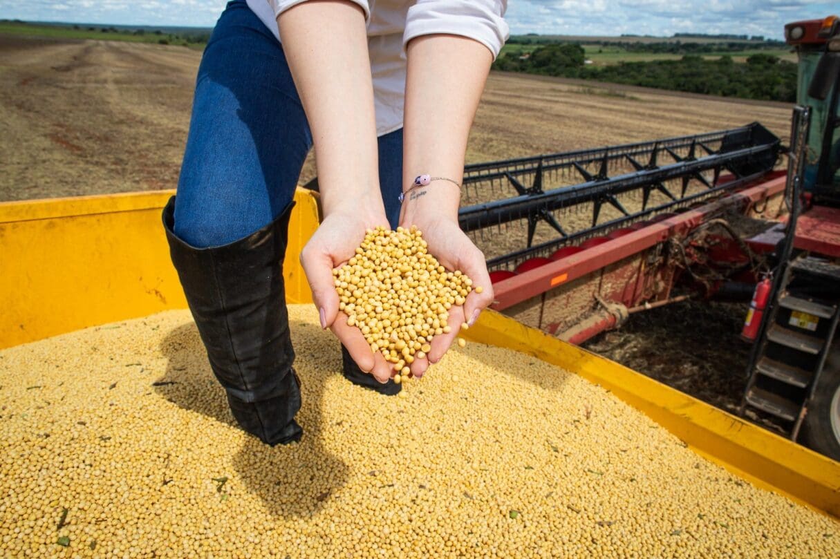 GRÃOS_PRODUÇÃO AGRÍCOLA GOIANA