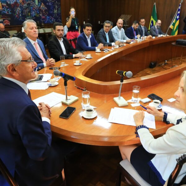 Governador de Goiás recebe embaixadora da Finlândia