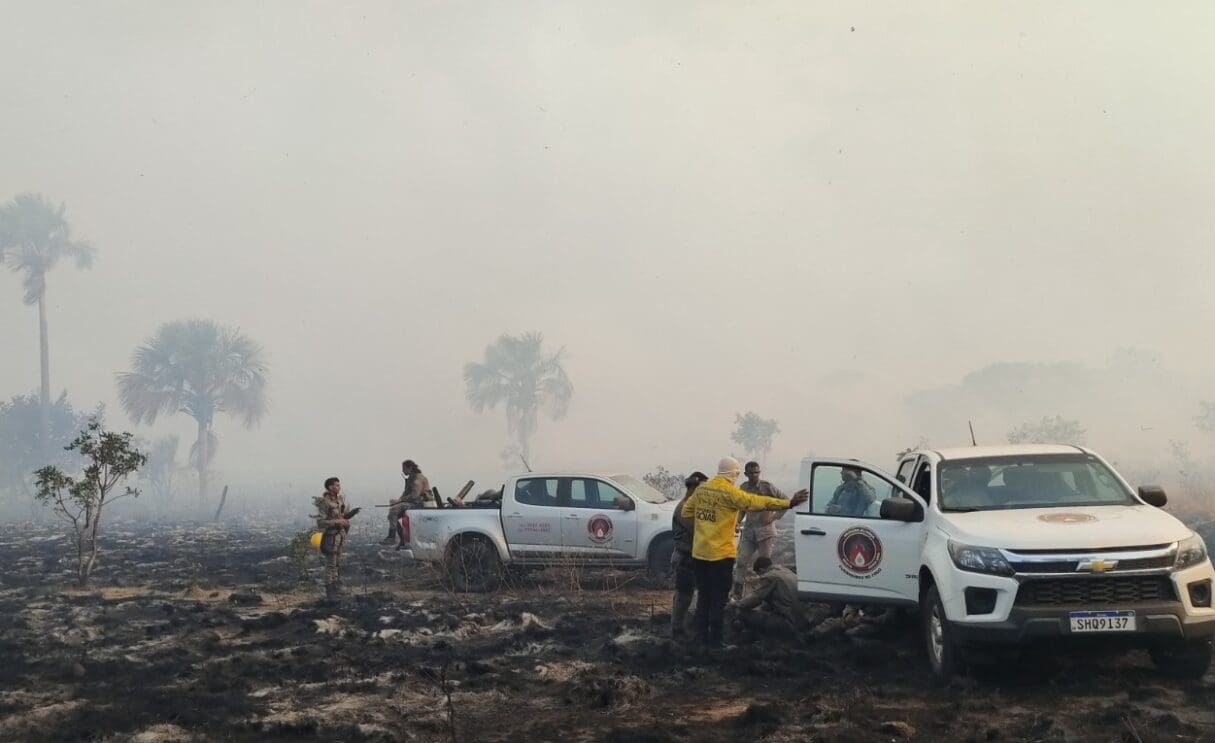Incêndio consumiu 5,5 mil hectares no Parque de Terra Ronca